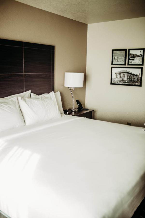 Cobblestone Hotel & Suites International Falls Buitenkant foto